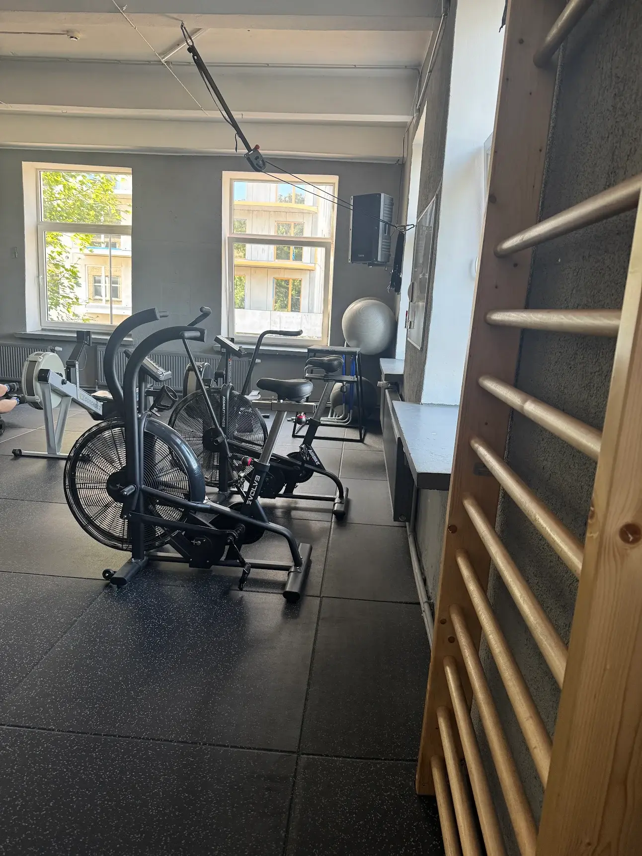 NewtonGym Google atsiliepimas